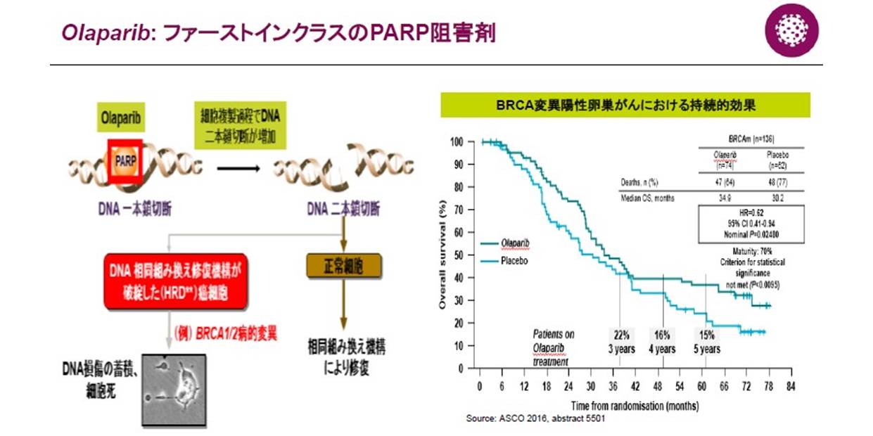 PARP阻害薬オラパリブ(リムパーザ) 遺伝性乳がん卵巣がんへの効果が 